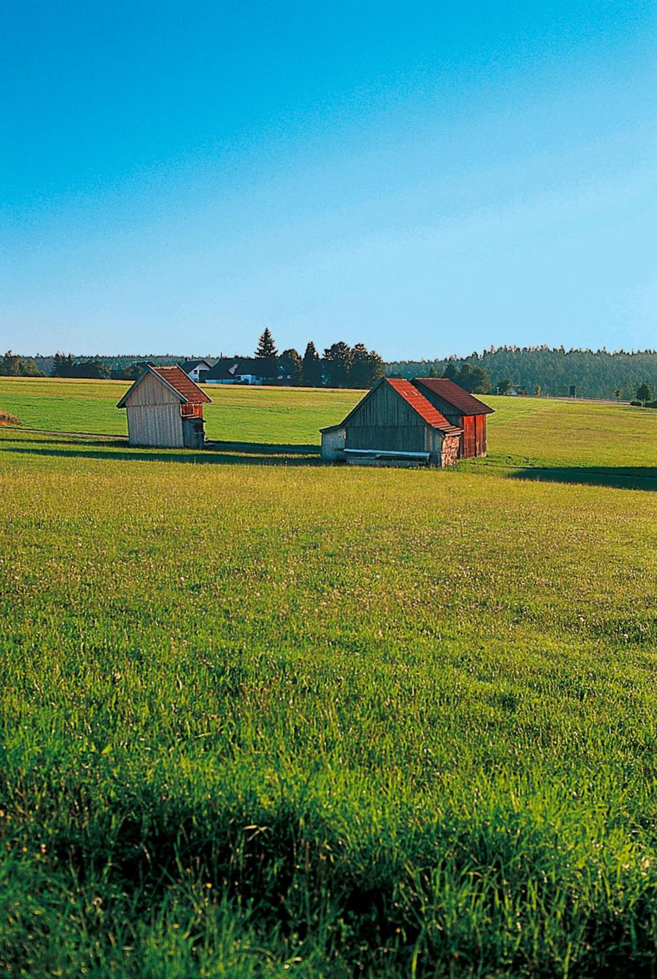 Landhaus Sackmann Baiersbronn Exterior foto